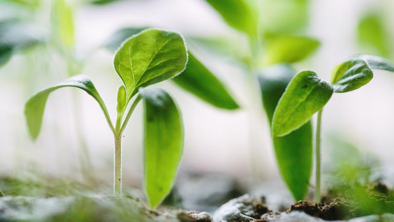 Business-Growth Accelerate your business growth